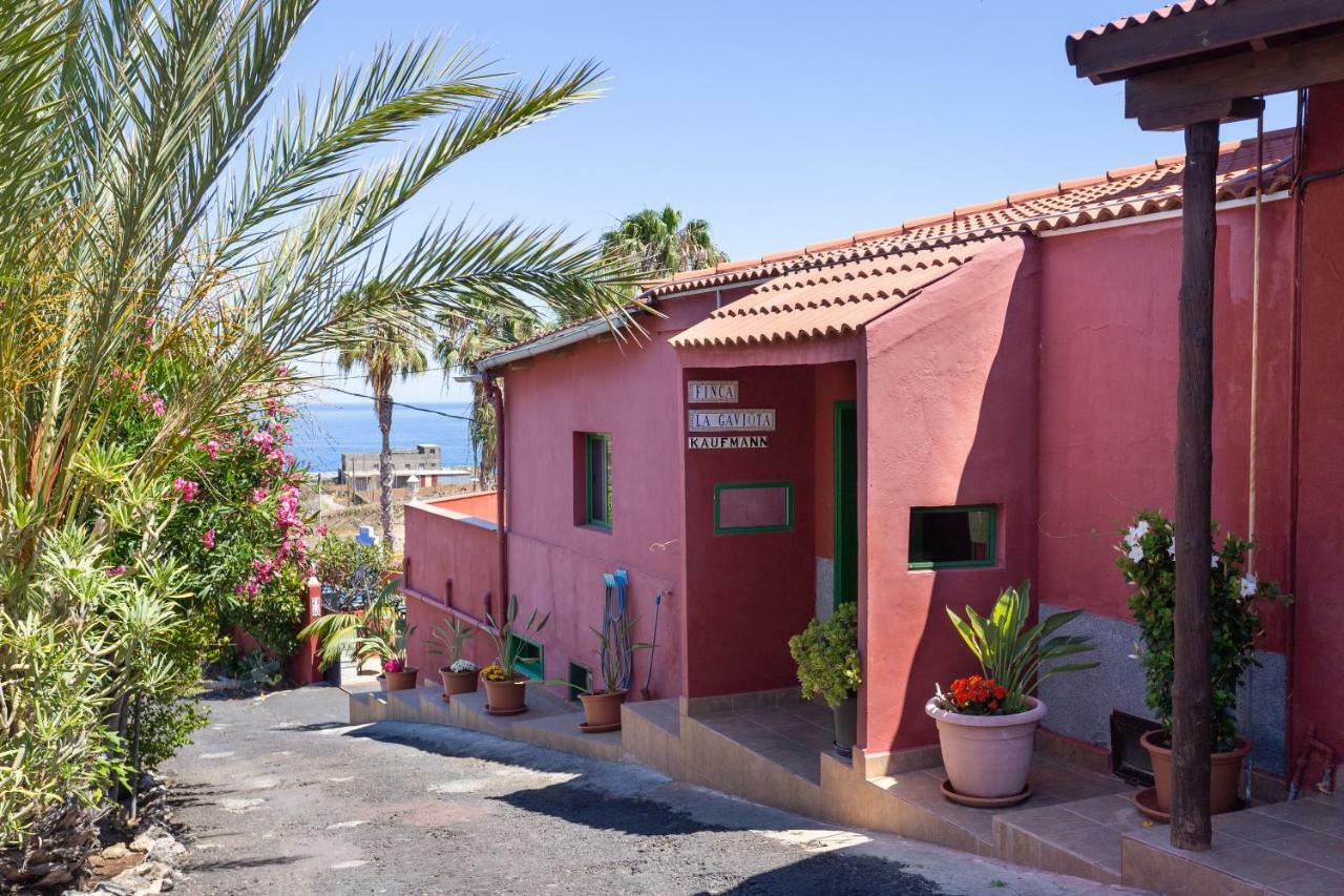 Finca La Gaviota - El Rincon Икод де лос Винос Екстериор снимка